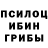 Галлюциногенные грибы Magic Shrooms cemzztop Zztop