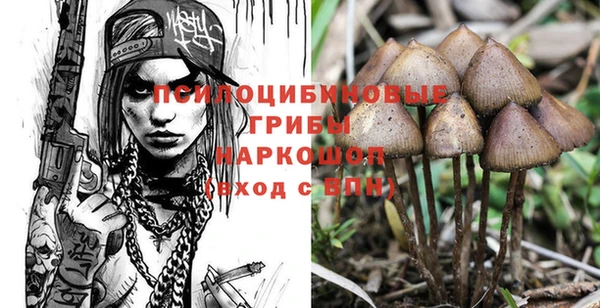 первитин Лагань
