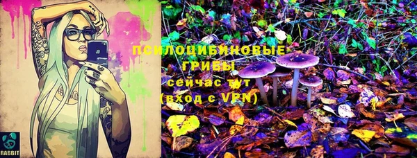 СК Кулебаки