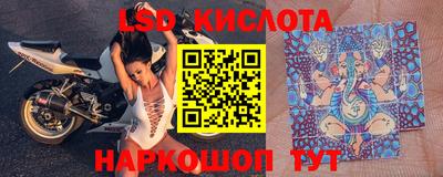 шишки Коммунар