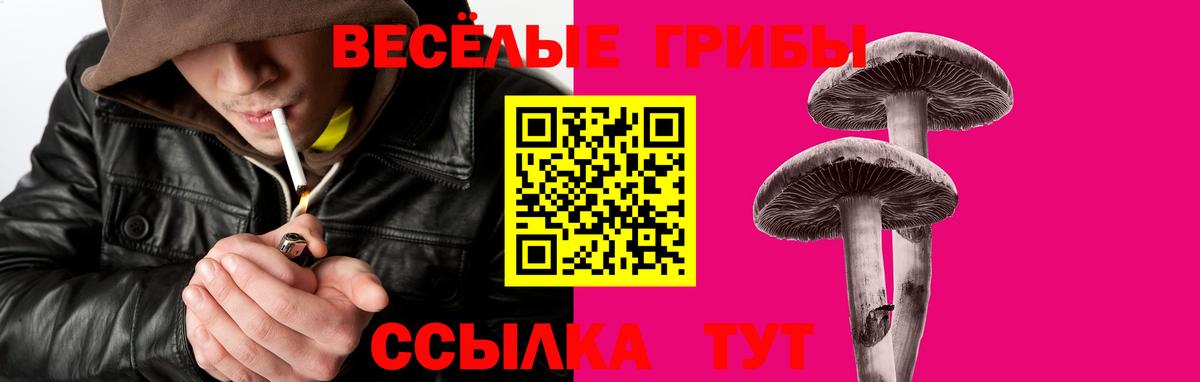 Южно-Сахалинск  наркота  Псилоцибиновые грибы ЛСД  Вход с VPN  Псилоцибиновые грибы мухоморы 